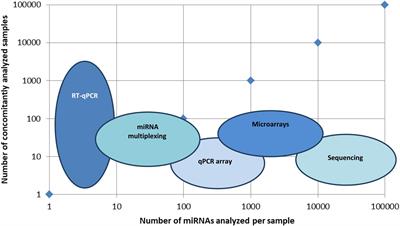 miRNAs in the Diagnosis and Prognosis of Skin Cancer